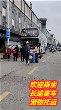 常州到蓬莱卧铺汽车票价及几点发车查询/客车