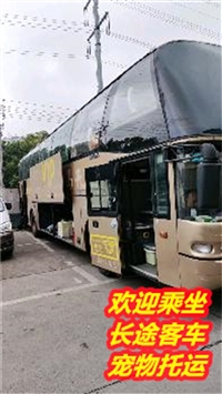 江阴到东阿客车价格/2024客车每天发车