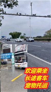 张家港到随县卧铺长途客车多久到/2024客车每天发车