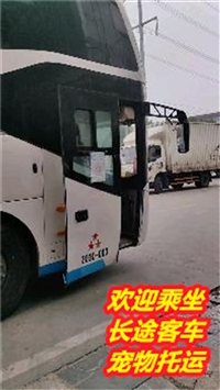 KC 张家港到通许豪华汽车具体时间及票价查询/客车