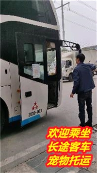 张家港到舞钢长途卧铺客车具体时间/2024客车每天发车