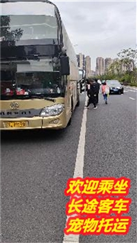 无锡到大悟直达卧铺汽车票价及票价查询/客车