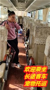 江阴到番禺卧铺营运汽车价格及票价查询/客车