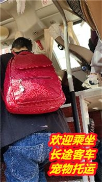 无锡到新浦大巴票价参考及收费/客车