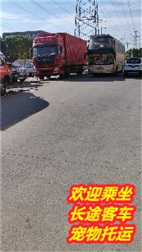 KC 张家港到沁阳豪华客车发车时间及票价查询/客车