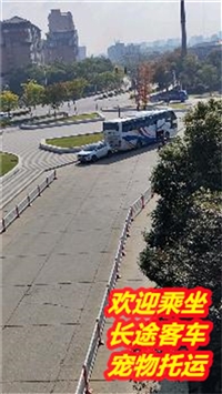 KC 苏州到浚县直达卧铺汽车发车时刻及票价查询/客车