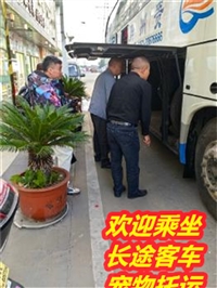 张家港到扶沟长途客车票价及多久到查询/客车