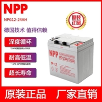 耐普蓄电池12V24AH NPG12-24 NPP太阳能电池 适用UPS电源 直流屏 消防