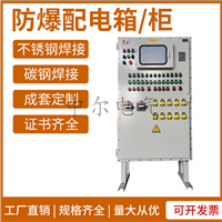 BXD防爆动力配电箱Q235碳钢不锈钢隔爆柜IIBT4BT6CT4CT6接线端子箱