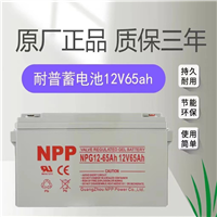 耐普太阳能蓄电池NPG12-65 12V65AH 100AH 120AH 150AH NPP电池适用UPS
