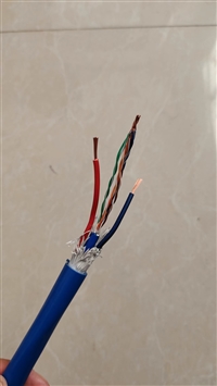 电力电缆WDZBN-YJY23-0.6/1KV 2x10mm2