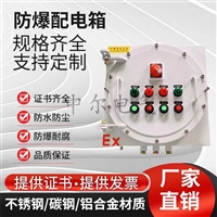 定做防爆配电箱ExdIICT4不锈钢铝合金碳钢 仪表按钮开关箱提供证书