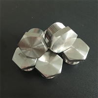 304不绣钢防爆堵头 防爆活接头 不锈钢防爆补锌 防爆直接厂家