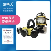 放哨人 FSR0104D 送风式呼吸器 动力送风过滤式呼吸器 防毒面具呼吸器