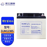 理士蓄电池DJM1238 适用UPS电源 太阳能电池 12V38AH 65AH 100AH 120AH