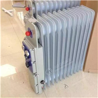 矿用隔爆型电热取暖器 RB-2000/127隔爆兼增安型电热取暖器