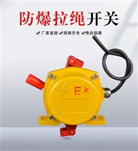 DLQ-1双向拉绳开关，FD-03N防尘磁性开关