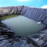 塑料猪场黑膜1.5毫米奶牛粪污池防水