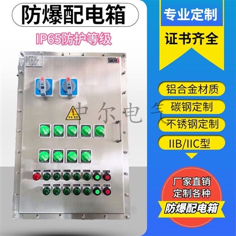 BXMD51防爆配电箱 厂房检修照明动力柜 定做成套不锈钢隔爆接线箱