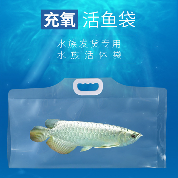 厂家海鲜运输袋 活鱼氧气袋 多种尺寸 源头厂家