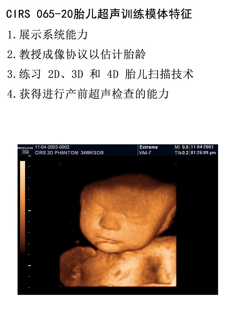 美国CIRS 065-20胎儿超声训练模体 高质量成像体模 产前超声检查模体
