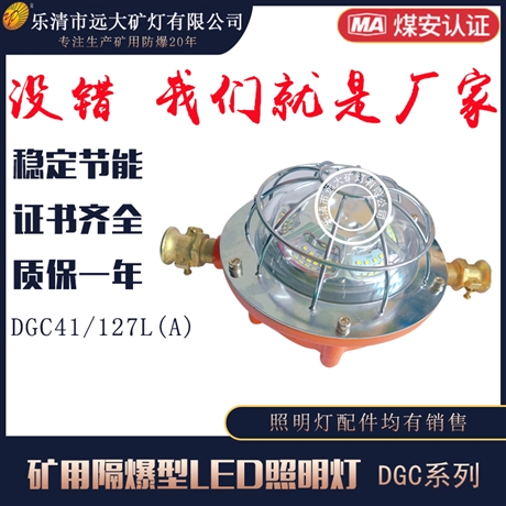 41W照明灯矿用隔爆型LED照明灯DGC41/127LA厂家价格