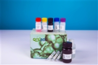 大鼠砷剂3-氧化位甲基转移酶(AS3MT)ELISA测试盒