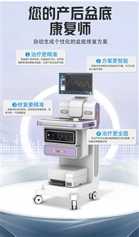 产后盆底修复仪 盆底修复仪妇科 盆底康复治疗仪
