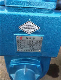 广州长远水泵厂80ZB-15自吸泵