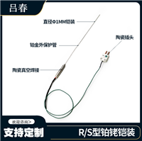 1.0铂金铠装热电偶 光电设备真空镀膜设备传感器