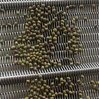 干燥机链网  玉溪干燥机链网 食品干燥机链网厂家