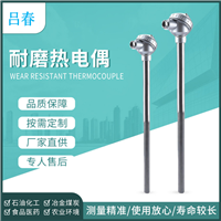  耐磨热电偶铂铑刚玉热电偶 铠装热电偶 PT100耐压热电阻