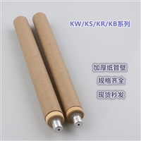 铂铑一次性热电偶 钢水铸造 冶炼 纸管测温棒钨铼快速热电偶