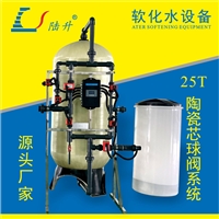 陆升陶瓷芯球阀软化水设备 锅炉钠离子交换器 双阀双罐软水机