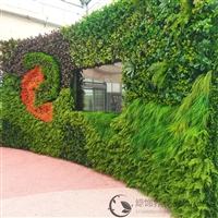 绿植墙仿真植物墙 仿真绿植墙 塑料仿真花 沈阳仿真植物墙 绿植装饰 