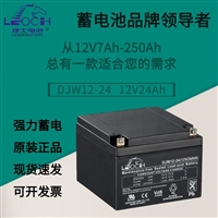 理士电池12V24Ah DJW1224S UPS/EPS电源 直流屏 机房 消防 铅酸蓄电池