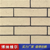 漳州软瓷外墙面砖(质量保证)