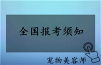 2023年全国各地发布关于皮肤管理师资格证怎么考的详情介绍