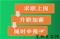 2023年全国各地发布关于国家宠物美容师资格证的详情介绍