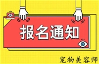 2023年全国各地发布关于宠物美容师证分几级的详情介绍