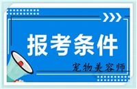 2023年全国各地发布关于宠物美容师考证的详情介绍