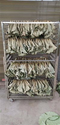 守恒定做大小型荷叶烘干机  荷叶烘干设备 节能荷叶烘干房 