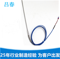 单芯二线制 化工行业简易式铠装热电偶WRNK-191