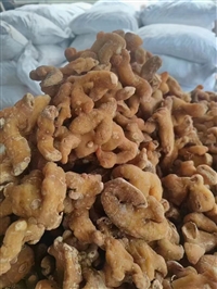 守恒厂家定做天冬烘干机  天冬烘干设备  天冬烘干房 药材烘干机