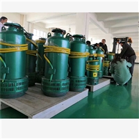 电泵结构简单潜水泵 易于维修潜水泵 FQW25-45/K潜水泵