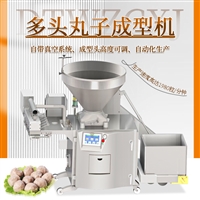 多功能六头肉丸机 多头型宠物丸子牛肉丸子成型