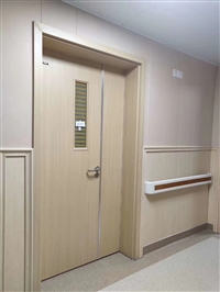 青岛SZM防静电抗菌医用树脂门