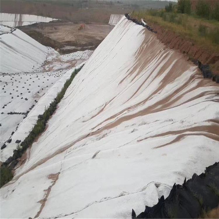 重庆河道治理专用土工布 水库护坡用400g土工布 裸土覆盖绿色土工布