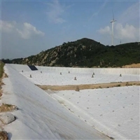 银川针刺无纺布土工布价格 挡土墙透水土工布 土工布加固地基的方法