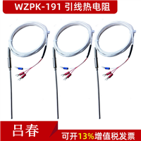 WZPK-191引线热电阻 插针式铠装热电阻